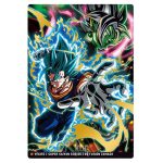2-06 SR Itajaga Dragon Ball Vol. 2 KuriGames TCG