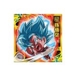 Super 2-25 SR Dragon Ball Super Warrior Seal Wafer Super Miracle Fusion Vol 2