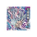 Super 5-01 ER Dragon Ball Super Warrior Seal Wafer Super Ultimate Surpasser Vol 5