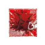 Super 10-30 S Dragon Ball Super Warrior Seal Wafer Vol 10